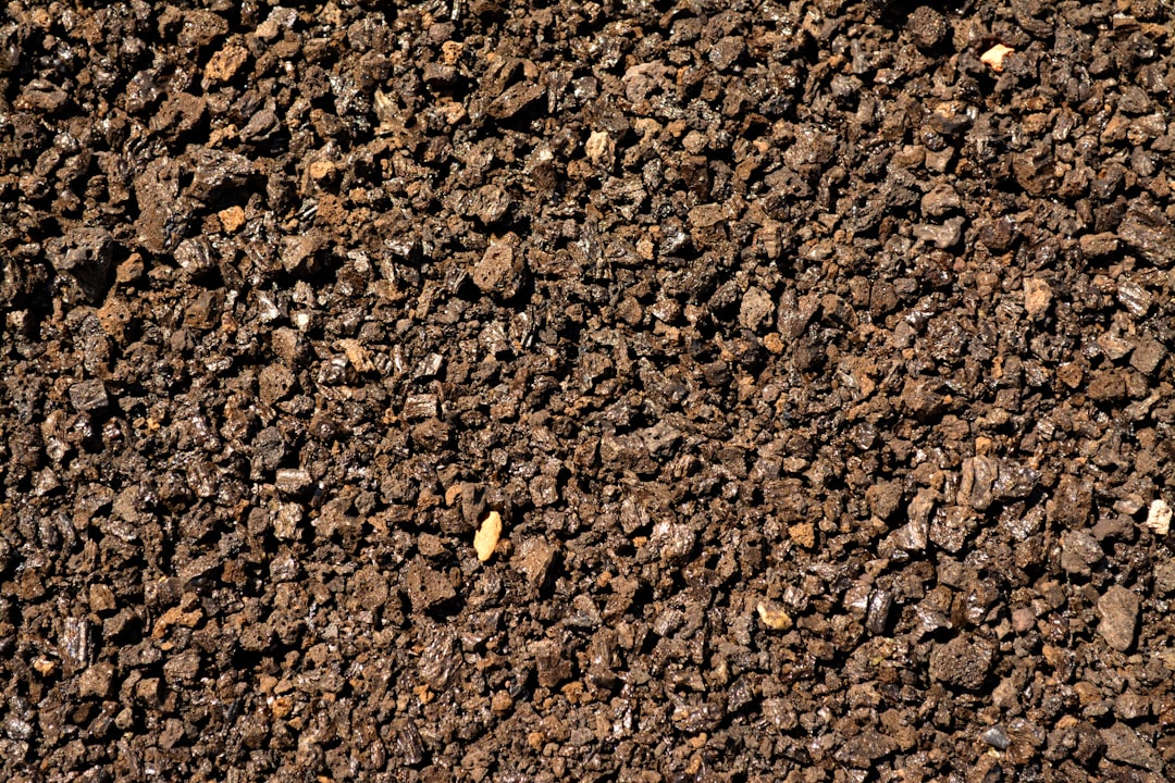 5 Common Mistakes with Aroid Soil Mixes, Perlite & Orchid Bark (And How to Avoid Them)