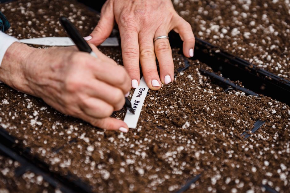 A Realistic Routine for Aroid Soil Mixes, Perlite & Orchid Bark That Fits a Busy Life