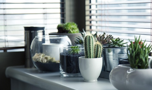 Grow Lights, Humidity & Seasonal Lighting vs Alternatives : My Honest Hands-On Comparison