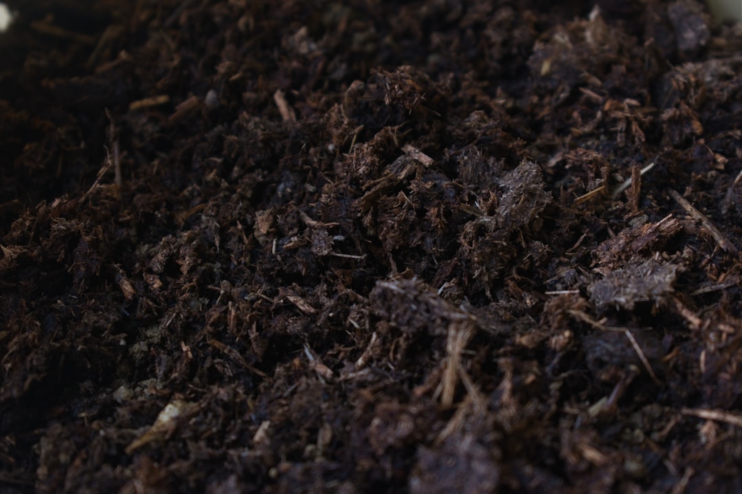 My Step-by-Step Blueprint for Aroid Soil Mixes, Perlite & Orchid Bark