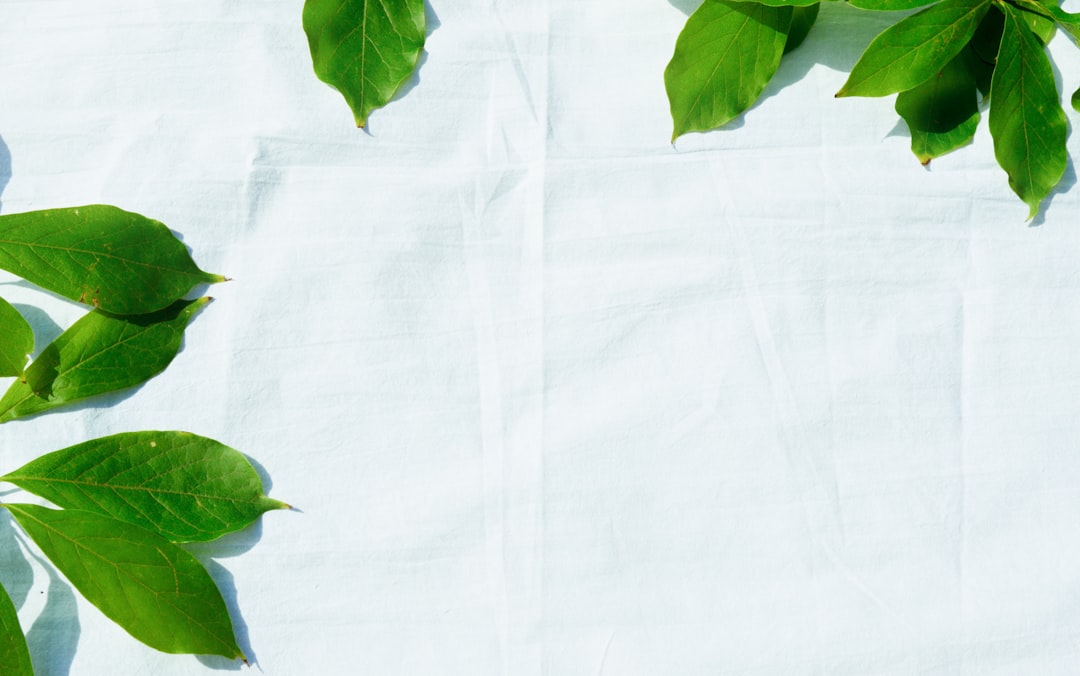 My Step-by-Step Blueprint for Thrips, Spider Mites & Gentle Pest Treatments