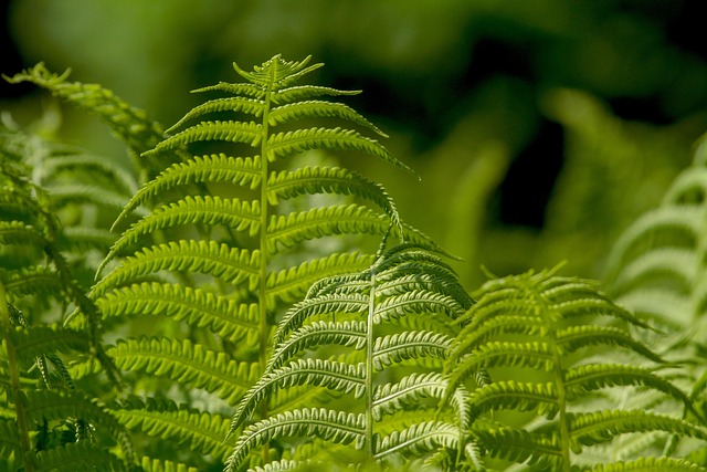 Thrips, Spider Mites & Gentle Pest Treatments vs Alternatives : My Honest Hands-On Comparison