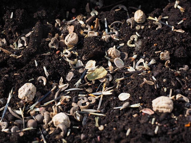 Troubleshooting Aroid Soil Mixes, Perlite & Orchid Bark : Diagnosing and Fixing Problems