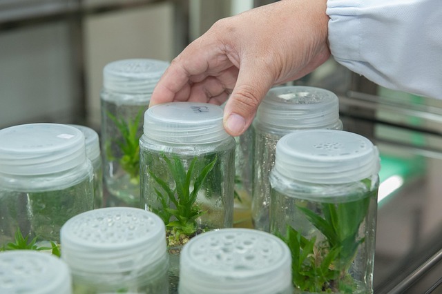 Troubleshooting Water Propagation, Lecca & Root Rescue : Diagnosing and Fixing Problems